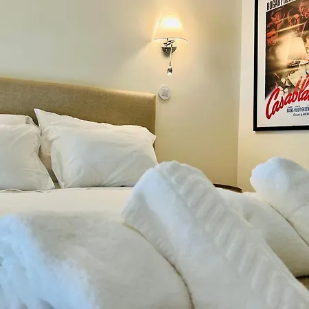 Estudio 81 Junto A Sinagoga *