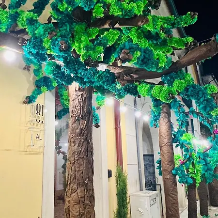 Estudio 81 Junto A Sinagoga