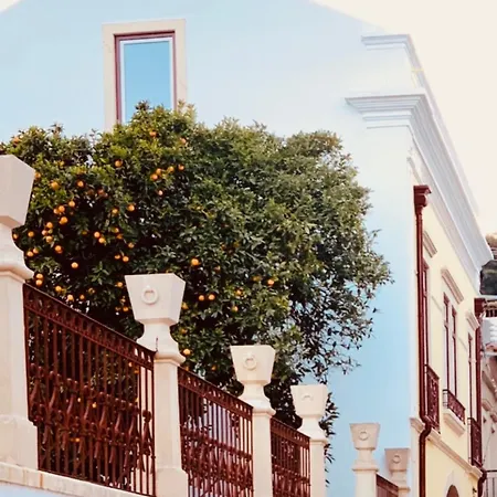 Estudio 81 Junto A Sinagoga