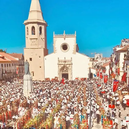 Estudio 81 Junto A Sinagoga דירה טומאר