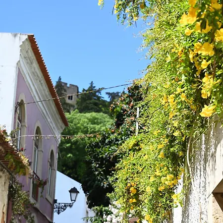 Estudio 81 Junto A Sinagoga 托马尔