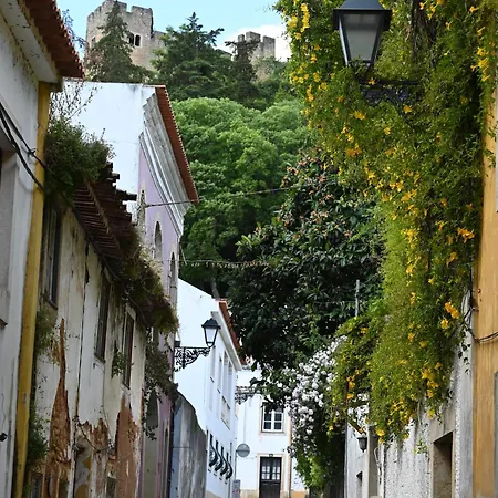 Estudio 81 Junto A Sinagoga *