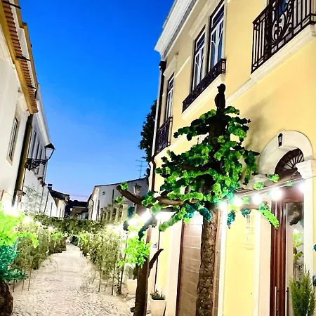 شقة Estudio 81 Junto A Sinagoga تومار