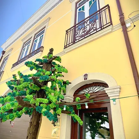 Apartamento Estúdio 81 Junto à Sinagoga *