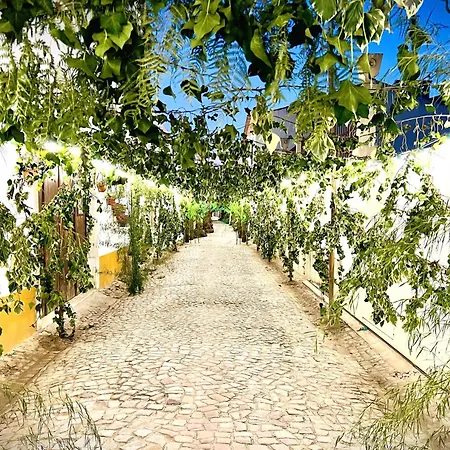 Estúdio 81 Junto à Sinagoga Appartement *