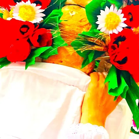 Estudio 81 Junto A Sinagoga *