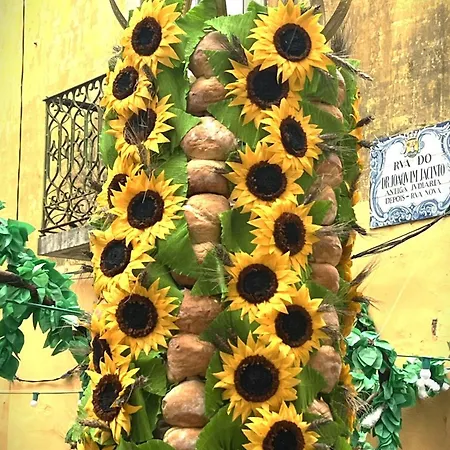 Estudio 81 Junto A Sinagoga تومار