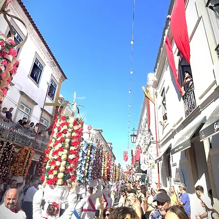 Estudio 81 Junto A Sinagoga * טומאר