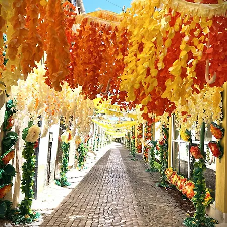 شقة Estudio 81 Junto A Sinagoga