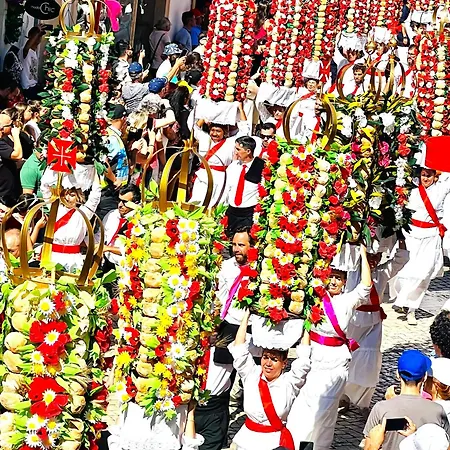 公寓 Estudio 81 Junto A Sinagoga 托马尔