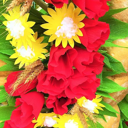 Estudio 81 Junto A Sinagoga *