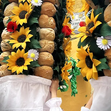 Estudio 81 Junto A Sinagoga