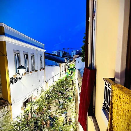 شقة Estudio 81 Junto A Sinagoga *