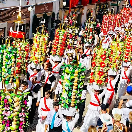 Estudio 81 Junto A Sinagoga