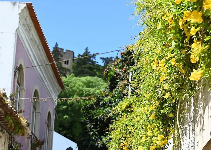 Estúdio 81 Junto à Sinagoga Tomar