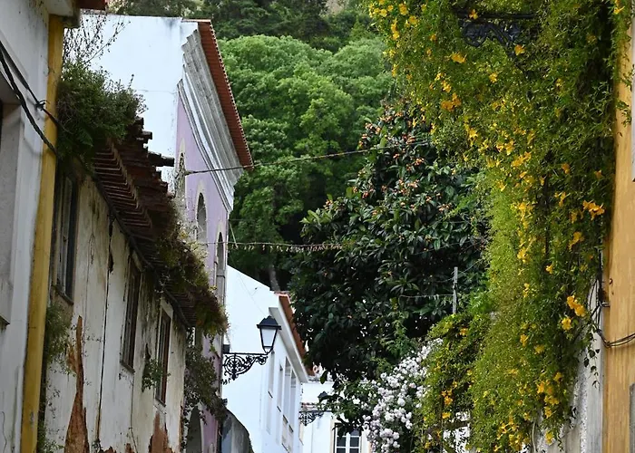 Estudio 81 Junto A Sinagoga *