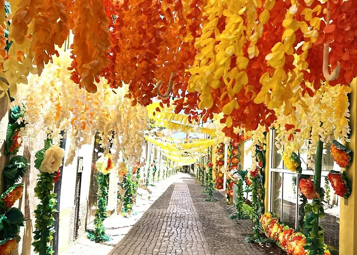 Appartement Estúdio 81 Junto à Sinagoga